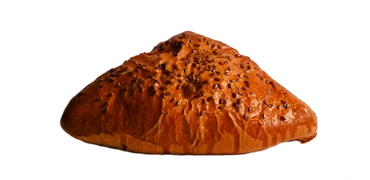 SamsaWithChicken